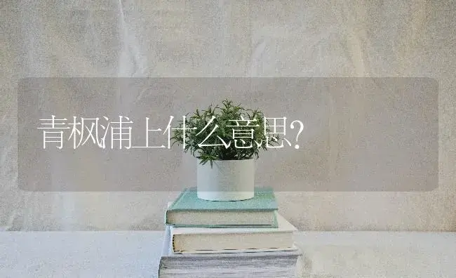 青枫浦上什么意思？ | 植物问答