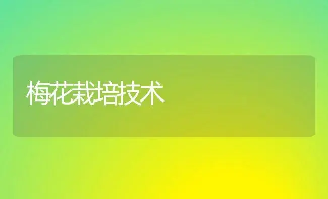 梅花栽培技术 | 植物科普