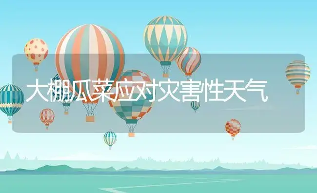 大棚瓜菜应对灾害性天气 | 植物资料