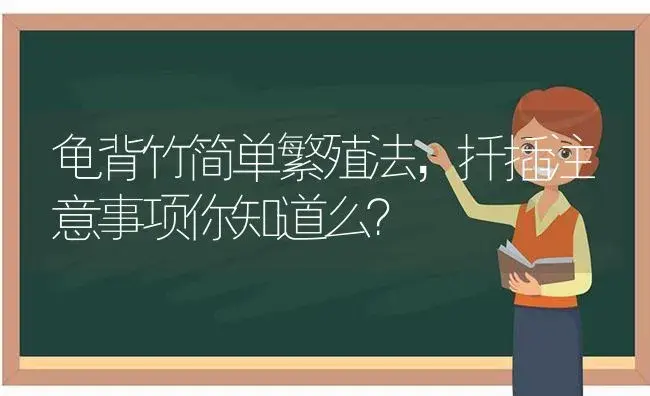 龟背竹简单繁殖法，扦插注意事项你知道么？ | 植物问答