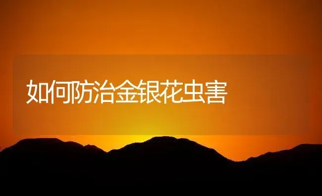 如何防治金银花虫害 | 植物知识