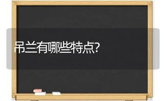 吊兰有哪些特点？ | 植物问答