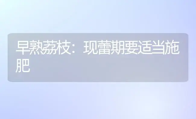 黑皮南瓜1号 | 植物百科