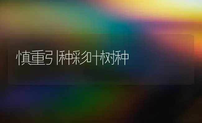 慎重引种彩叶树种 | 植物科普
