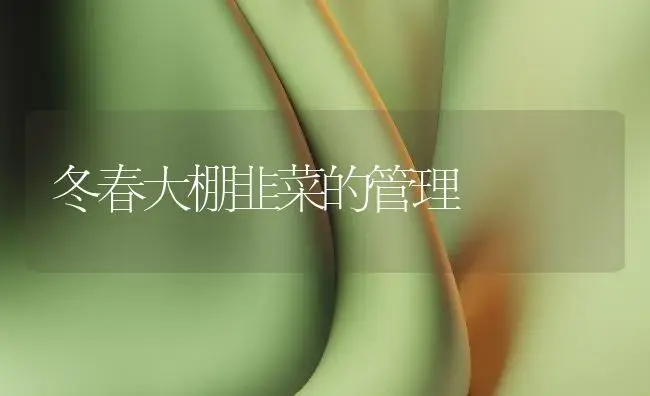 冬春大棚韭菜的管理 | 植物百科