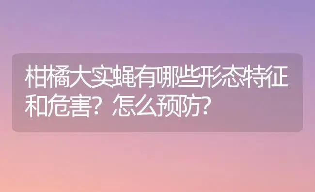 柑橘大实蝇有哪些形态特征和危害？怎么预防？ | 植物百科