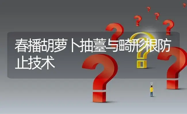 春播胡萝卜抽薹与畸形根防止技术 | 植物百科