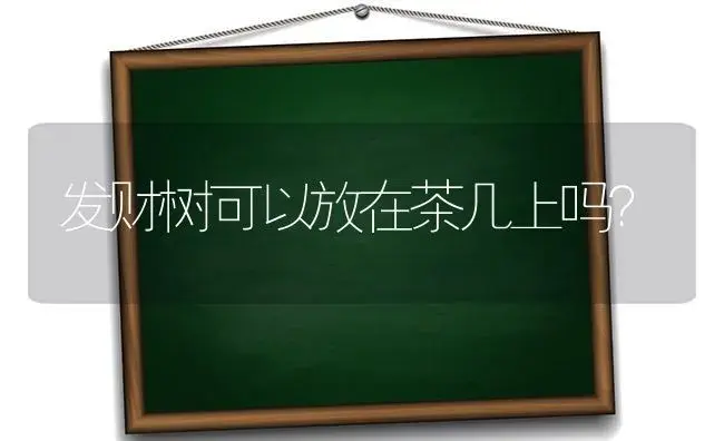 发财树可以放在茶几上吗？ | 植物问答