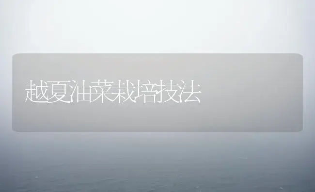 越夏油菜栽培技法 | 植物百科