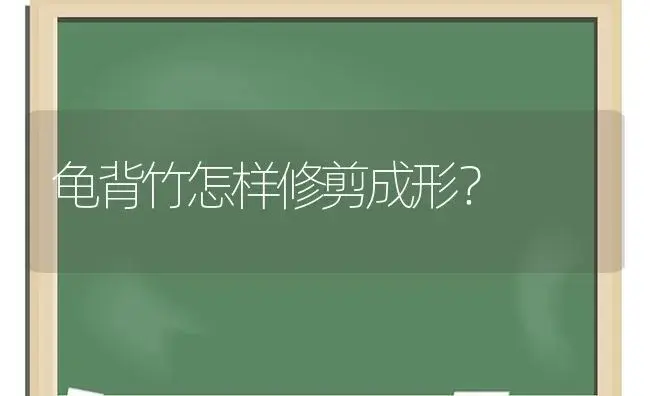 龟背竹怎样修剪成形？ | 植物问答