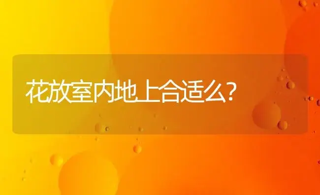 花放室内地上合适么？ | 植物问答