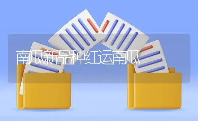 南瓜新品种红运南瓜 | 植物百科