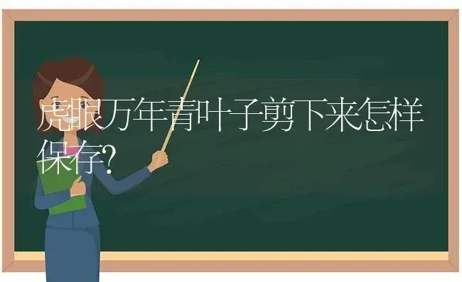 虎眼万年青叶子剪下来怎样保存？ | 植物问答