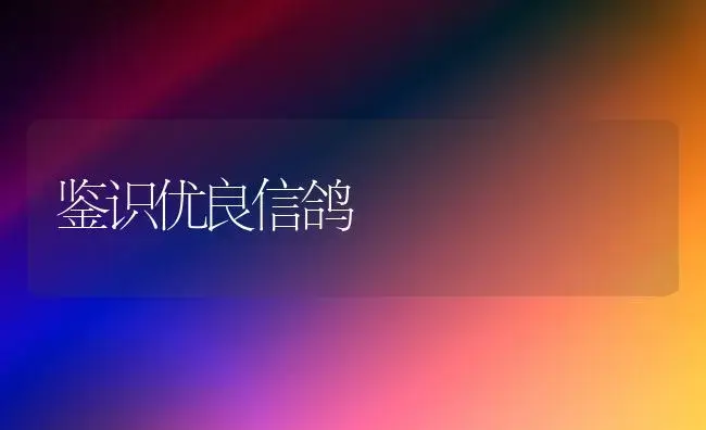 鉴识优良信鸽 | 植物科普