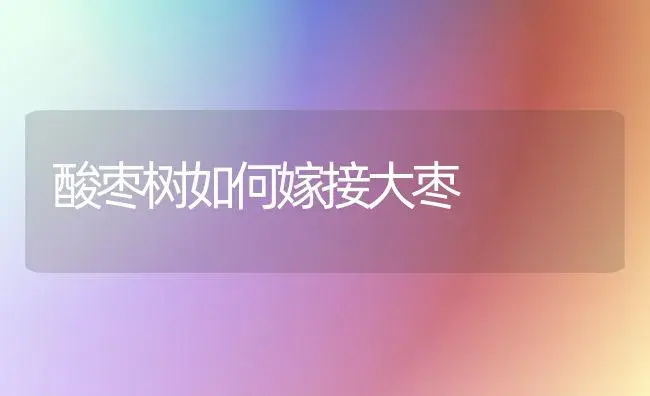 苹果树矮化密植栽培要点 | 植物科普