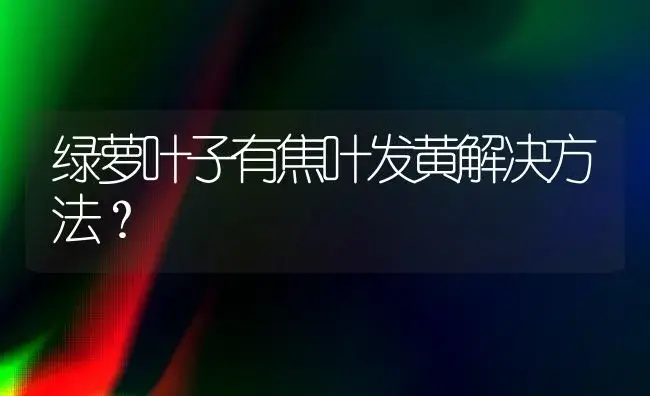 绿萝叶子有焦叶发黄解决方法？ | 植物问答