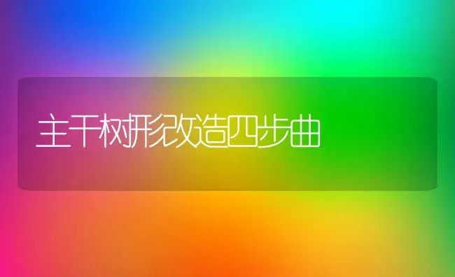 主干树形改造四步曲 | 植物科普