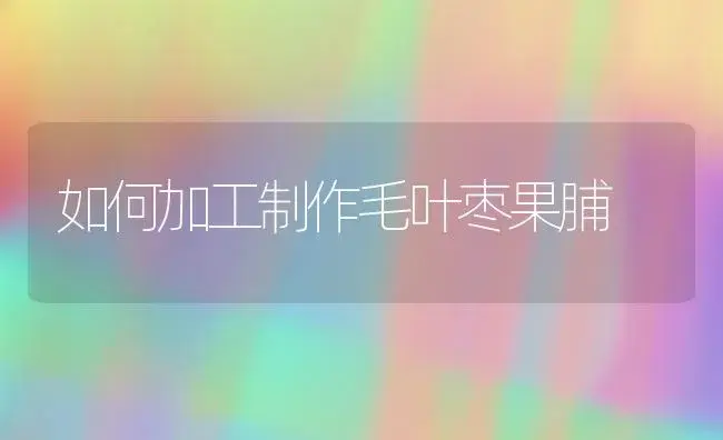 如何加工制作毛叶枣果脯 | 植物科普