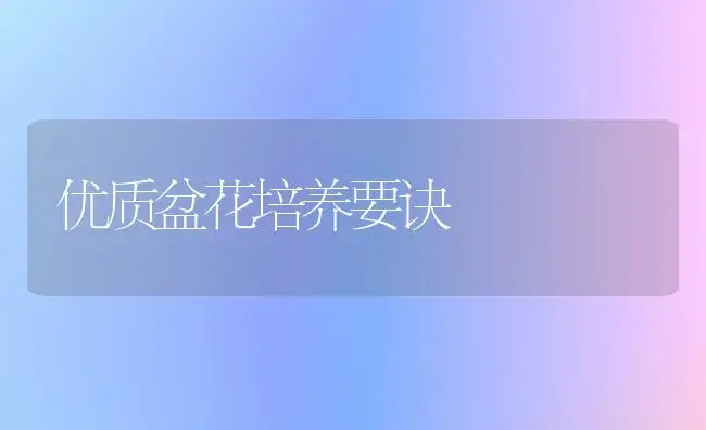 优质盆花培养要诀 | 植物知识
