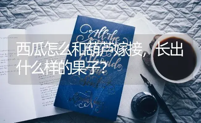 西瓜怎么和葫芦嫁接，长出什么样的果子？ | 植物知识