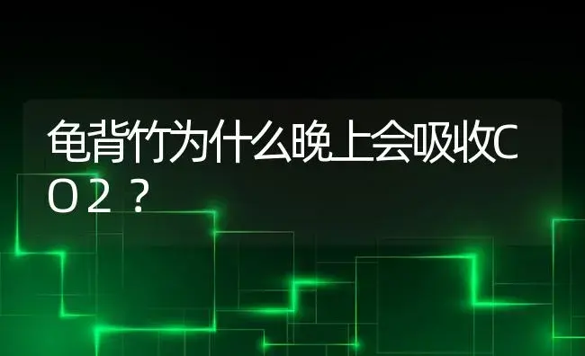 龟背竹为什么晚上会吸收CO2？ | 植物问答