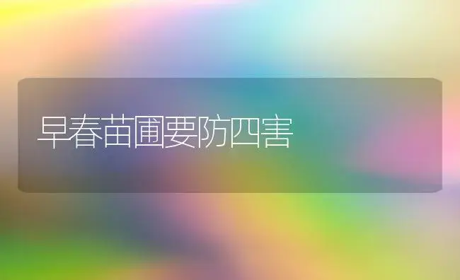 早春苗圃要防四害 | 植物科普