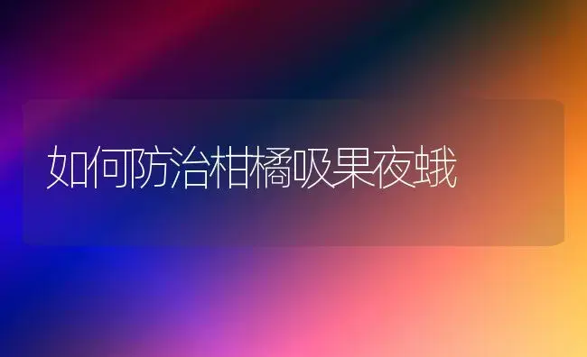 如何防治柑橘吸果夜蛾 | 植物百科