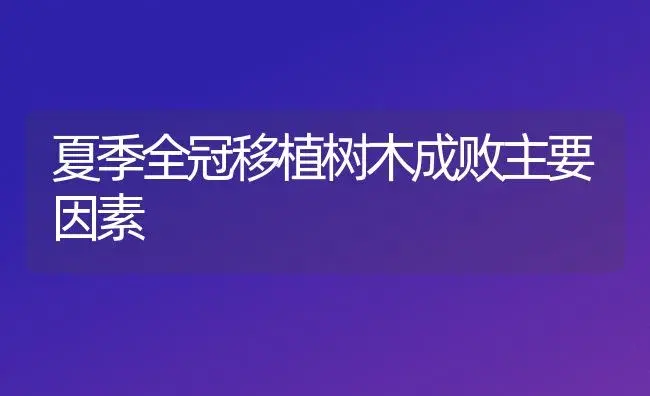 夏季全冠移植树木成败主要因素 | 植物知识