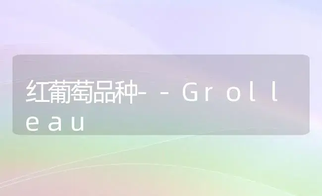 红葡萄品种--Grolleau | 植物科普