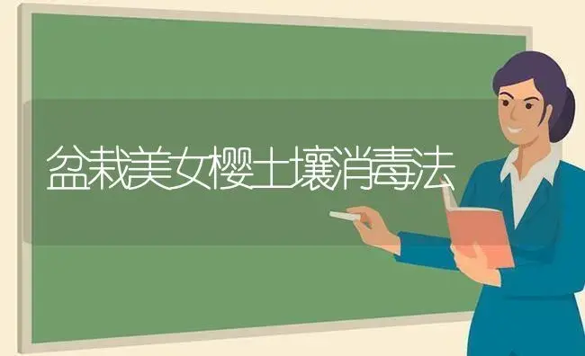 盆栽美女樱土壤消毒法 | 植物知识