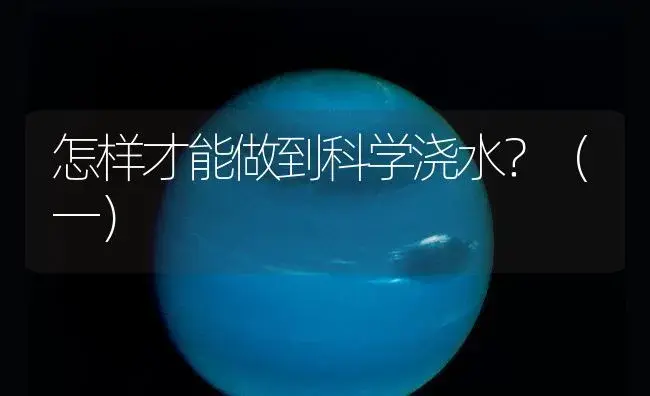怎样才能做到科学浇水？（一） | 植物知识