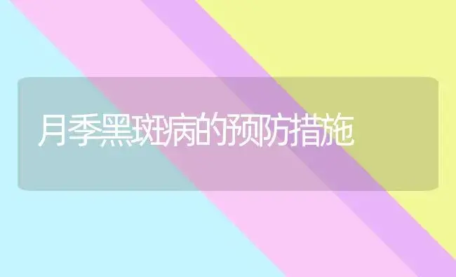 雪松的习性和栽培技术 | 植物知识