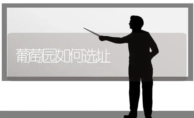 葡萄园如何选址 | 植物科普