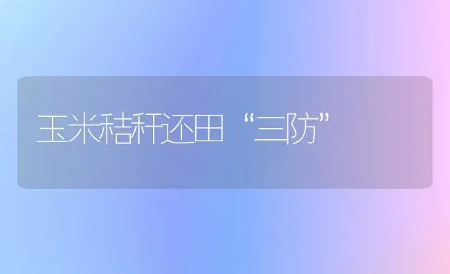 玉米秸秆还田“三防” | 植物科普