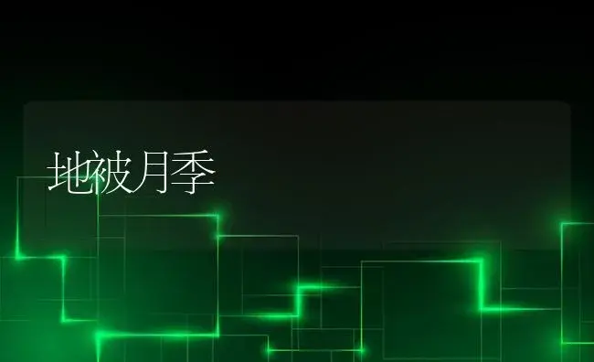 几种珍贵荷花品种组织培养技术 | 植物科普