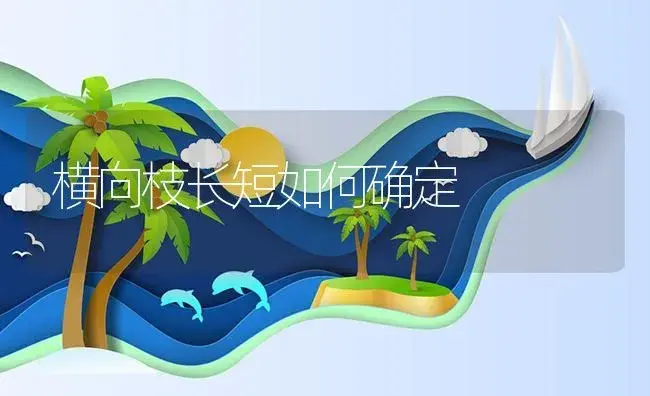 横向枝长短如何确定 | 植物资料