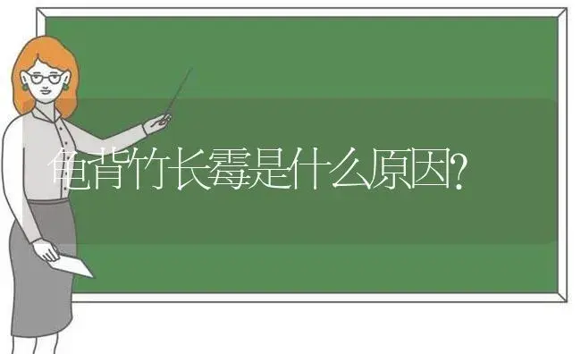 龟背竹长霉是什么原因？ | 植物问答