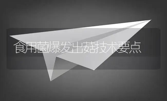 食用菌爆发出菇技术要点 | 植物资料