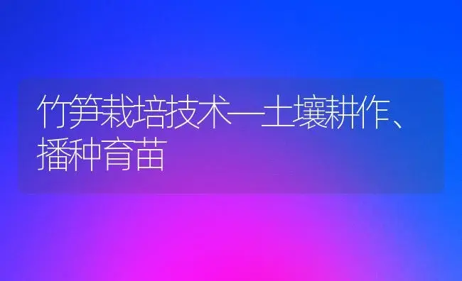 竹笋栽培技术―土壤耕作、播种育苗 | 植物科普