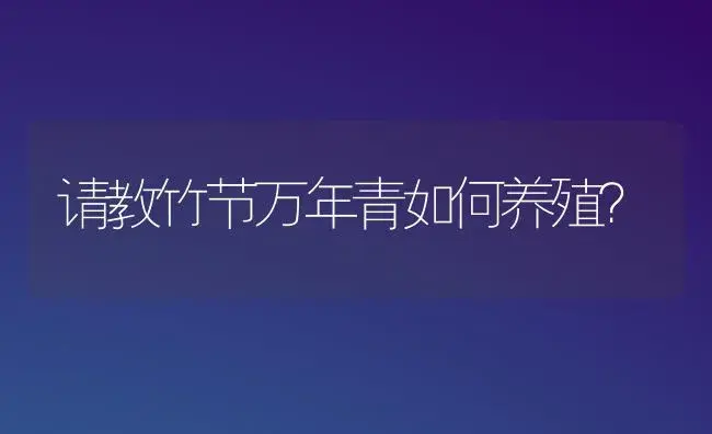 请教竹节万年青如何养殖？ | 植物问答