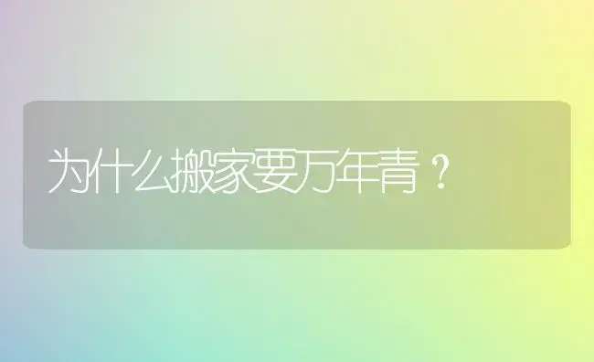 为什么搬家要万年青？ | 植物问答