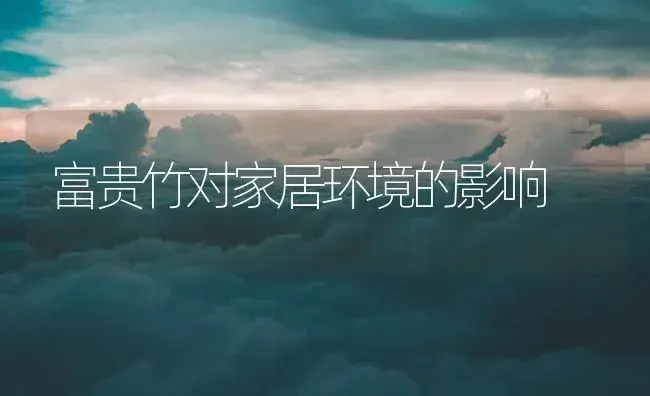 富贵竹对家居环境的影响 | 植物知识