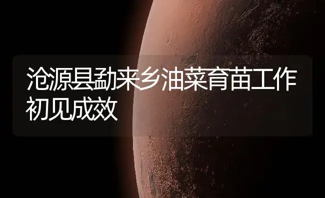 沧源县勐来乡油菜育苗工作初见成效 | 植物百科