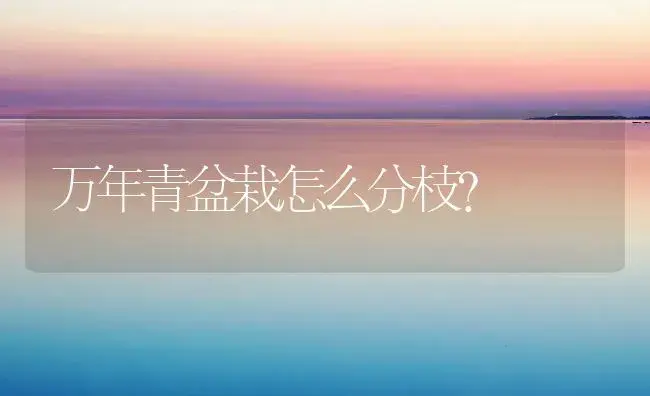 我家的滴水观音叶子发黄而死，花盆中有好多蚯蚓、蜈蚣，怎么办？ | 植物问答