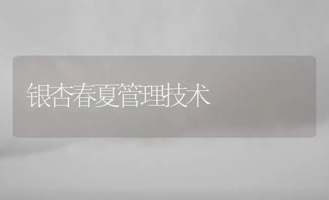 银杏春夏管理技术 | 植物知识