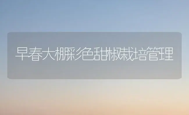 早春大棚彩色甜椒栽培管理 | 植物科普