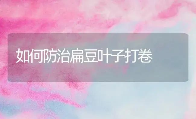 如何防治扁豆叶子打卷 | 植物百科