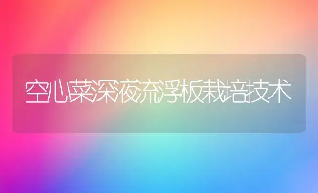 空心菜深液流浮板栽培技术 | 植物科普
