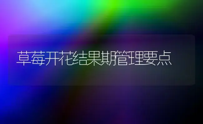 草莓开花结果期管理要点 | 植物科普