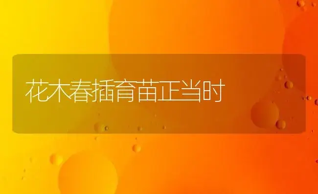 花木春插育苗正当时 | 植物知识